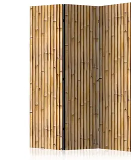Paravány Paraván Amazonian Wall Dekorhome