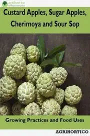 Hobby - ostatné Custard Apples, Sugar Apples, Cherimoya and Sour Sop