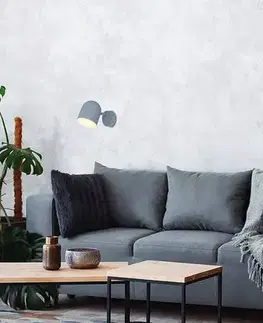 Nástenné svetlá Nástenná lampa 1X40W E27 matná sivá AZURO