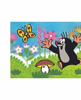 Puzzle Dino Puzzle Krtko a hríb 66x47cm 24 dielikov v krabici 30x20x6cm 24m+