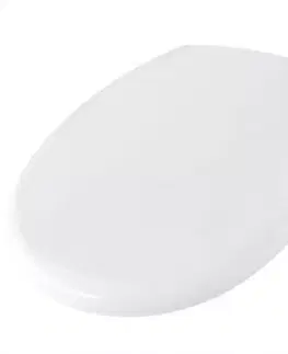 WC dosky Doska Kaskada 010/AW s pomalým sklápaním
