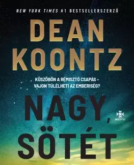 Detektívky, trilery, horory Nagy, sötét égbolt - Dean Koontz