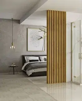 Sprchovacie kúty REA/S - Sprchová kabína Hugo Gold Brush 80x100, dvere: 80, dvere: 100 KPL-K0410