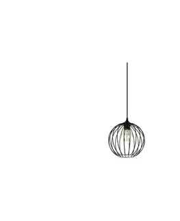 Svietidlá  Luster na lanku MATT 1xE27/60W/230V 0405