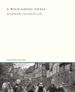 Poézia A Wild Goose Chase - Andrew McNeillie