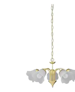 Svietidlá Rabalux 7235 - Luster na reťazi RAFAELLA 5xE14/40W/230V