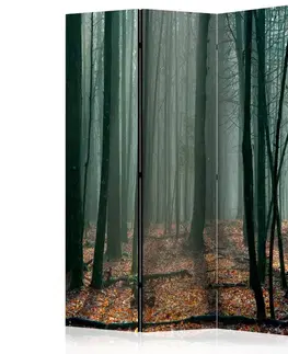 Paravány Paraván Witches' forest Dekorhome