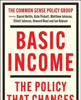 Politológia Basic Income - Daniel Nettle,Matthew Johnson,Kate Pickett,Ian Robson,Howard Reed,Elliott Johnson