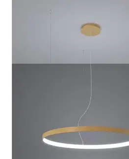 Svietidlá Thoro TH.181 - LED&nbsp; Luster na lanku RIO LED&nbsp;/50W/230V CRI95 4000K pr. 78 cm zlatá TH.181