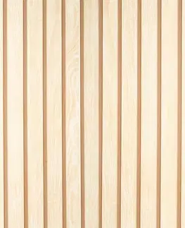 Vybavenie a dekorácie bytu Samolepiaca fólia f3460703 0.450x2m
