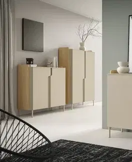 TV stolíky Meblar  TV stolík POSITANO P09 | dub Mavelie / macadamia