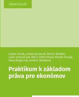 Pre vysoké školy Praktikum k základom práva pre ekonómov - Dušan Holub,Lenka Vačoková,Martin Winkler