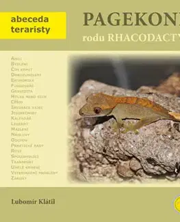 Zvieratá, chovateľstvo - ostatné Pagekoni rodu Rhacodactylus - Lubomír Klátil