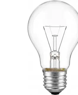 Žiarovky  Priemyselná žiarovka E27/40W/24V 339002000