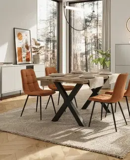 Jedálenské zostavy Jedálenská stolička DCL-X7015 Autronic