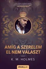 Detektívky, trilery, horory Amíg a szerelem el nem választ - Holmes K. M.