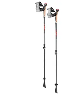 Trekingové palice LEKI Instructor Lite