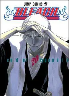 Manga Bleach 20 - Kubo Tite,Kubo Tite,Anna Křivánková