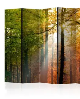 Paravány Paraván Forest Colours Dekorhome
