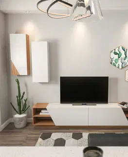 Konferenčné stolíky Televízny stolík so skrinkou Zebra White and Teak