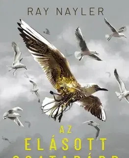 Sci-fi a fantasy Az elásott csatabárd - Ray Nayler