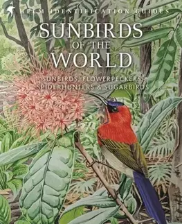 Vtáky, hydina Sunbirds of the World - Clive F. Mann,Prof. Robert A. Cheke