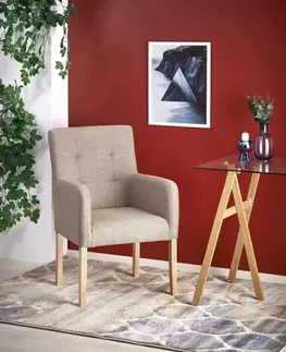 Kreslá Kreslo FILO Halmar