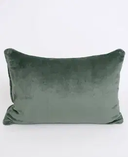 Dekoračné obliečky MKLozkoviny.sk Obliečka na vankúš mikroplyš 40 × 60 cm – Laura olivová-  -