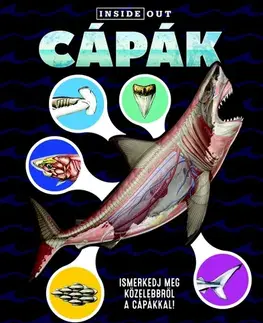 Príroda Cápák - Ismerkedj meg közelebbről a cápákról! - Sophia Willmann