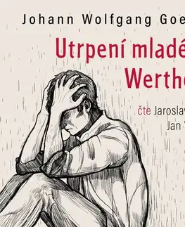 Svetová beletria Témbr Utrpení mladého Werthera