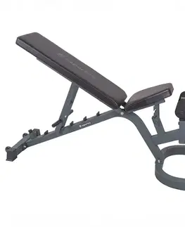 Posilňovacie lavice Posilňovacia lavica inSPORTline Profi Sit up bench