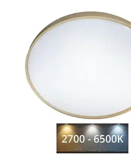 Svietidlá  LED Stmievateľné stropné svietidlo DRINA LED/36W/230V 2700-6500K +dálkové ovládanie 008 0001112