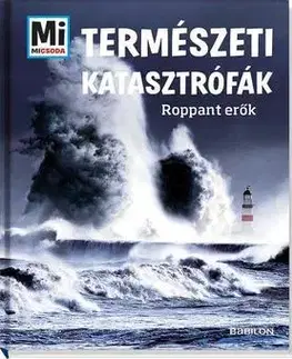 Encyklopédie pre deti a mládež - ostatné Természeti katasztrófák - Roppant erők - Manfred Baur