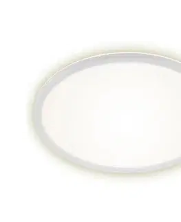 Svietidlá Briloner 7157-416 - LED Stropné svietidlo SLIM LED/22W/230V pr. 42 cm 7157-416