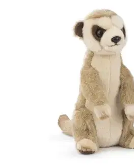 Plyšové a textilné zvieratká BARRADO WILD LIFE Surikata plyšová hračka 28cm