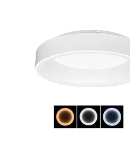 Svietidlá  WMKL01R-40W/LED-BI - LED Stmievateľné svietidlo NEST LED/40W/230V WMKL01R-40W/LED-BI