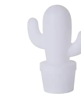 Lampy Lucide 13813/02/31 - LED Stmievateľná vonkajšia stolná lampa CACTUS LED/2W/5V IP44 13813/02/31