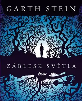 Romantická beletria Záblesk světla - Garth Stein