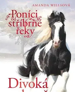 Pre deti a mládež - ostatné Poníci od stříbrné řeky: Divoká bouře - Amanda Willsová