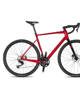 Bicykle Gravel bicykel 4EVER Grizzly Race 28" - model 2026 titan rainbow - 20,5" (167-177 cm)