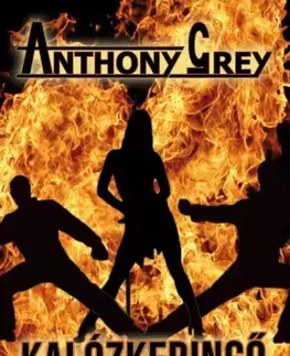 Detektívky, trilery, horory Kalózkeringő - Anthony Grey