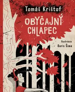 Pre deti a mládež - ostatné Obyčajný chlapec - Tomáš Krištof