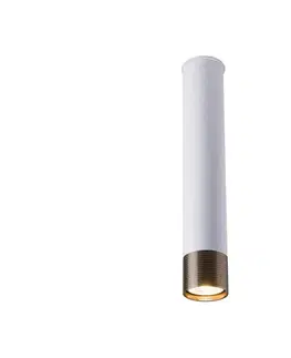 Svietidlá -  8251 - Bodové svietidlo EIDO 1xGU10/10W/230V biela/zlatá 8251