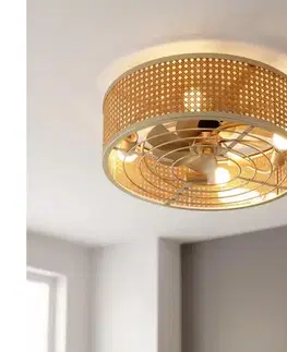 Ventilátory BRILAGI - Stropný látor 4× E27 (max. 40 W) / 230 V, priemer 50 cm, bambus, s diaľkovým ovládaním WF-OSD-125