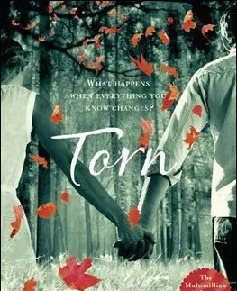 Cudzojazyčná literatúra Torn - Amanda Hocking