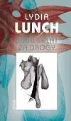 Hudba - noty, spevníky, príručky Budu dělat za drogy - Lydia Lunch,Pavel Klempera