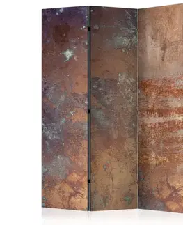 Paravány Paraván Rusty Plate Dekorhome