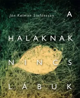 Svetová beletria A halaknak nincs lábuk - Jón Kalman Stefánsson