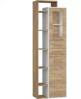Vitríny a regály do obývačky Vitrína RIO L1D2S craft biela/zlatý