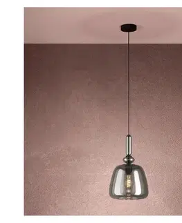 Svietidlá Eglo 39997 - Luster na lanku BOVINO 1xE27/40W/230V dymová 39997